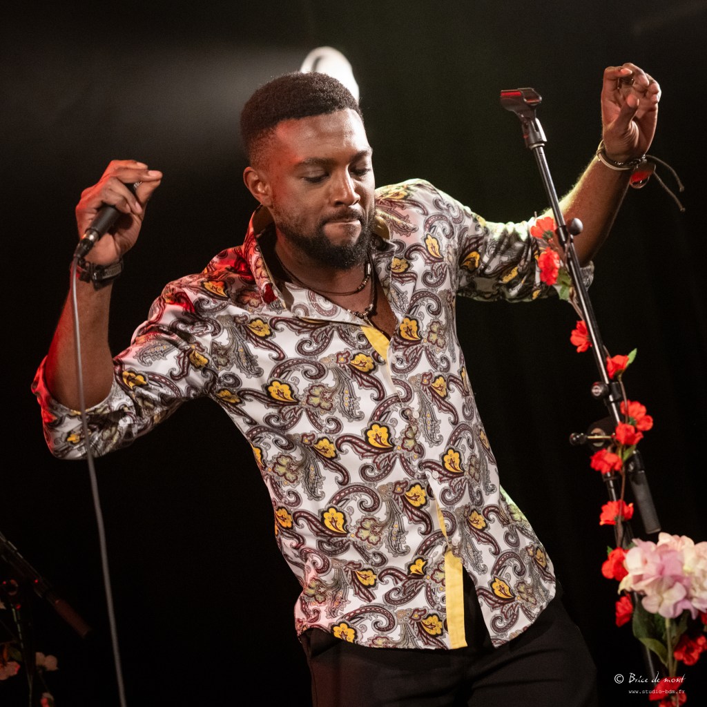 Gilles Roland Ngningha, FLOWERS OF TIJUANA